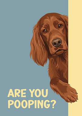 Funny Are you pooping? Irish Setter