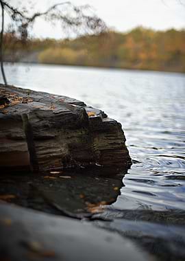 Autumnal Rock by the Water's Edge