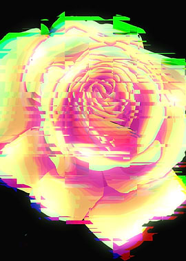 Glitch Art Rose