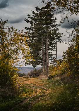 Autumnal Path with Picnic Table