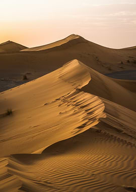 Desert Sand Dunes Landscape