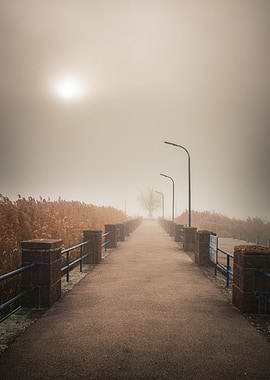 Foggy Path with Streetlights