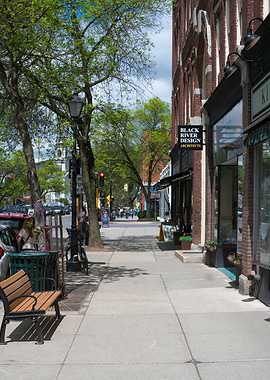 Montpelier Vermont street view with trees and buildings