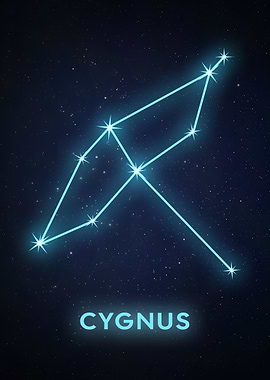 Cygnus Constellation Starry Night Sky