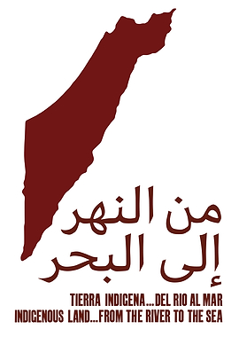 Palestine Map with Text