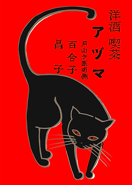 Black Cat on Red Background