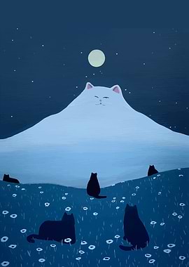 Cat Mountain Night