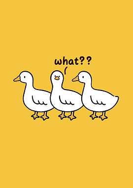 Three Cartoon Ducks with 'What??'