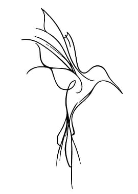 Hummingbird Line Art
