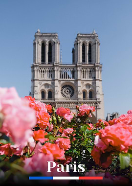 Notre Dame Cathedral with Roses, Paris