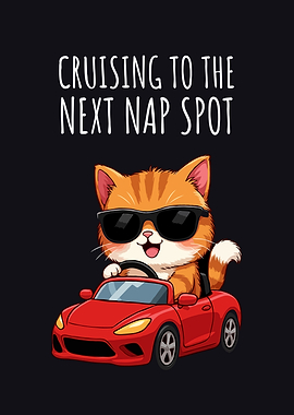 Cat Cruising to Next Nap Spot