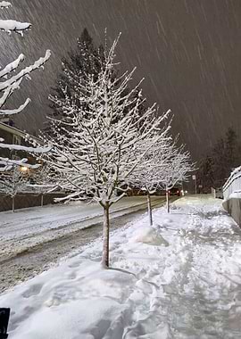 Snowy street at night in Seattle, Washington