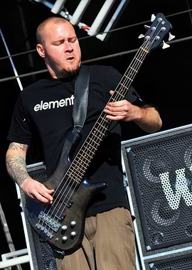 Musician Playing Bass Guitar Live