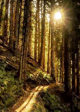 Sunlit Forest Path