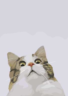 Curious Cat Looking Up