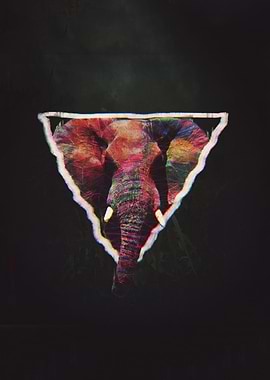 Colorful Elephant in Triangle