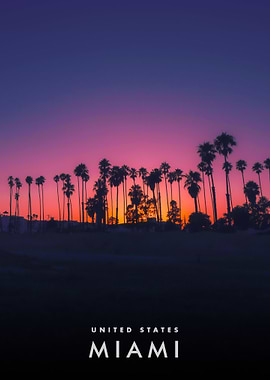 Miami Sunset Palm Trees