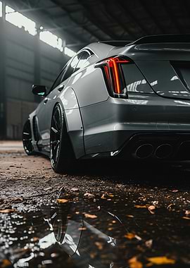 Sport Car Indoor Showcase - Artificial Series 22