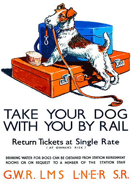 Take Your Dog By Rail Poster