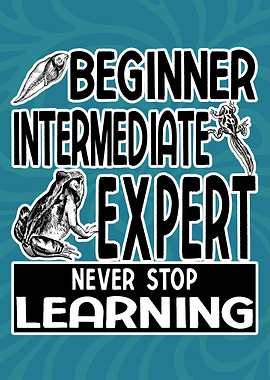 Beginner Intermediate Expert Never Stop Learning