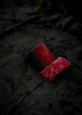 Red object on dark ground