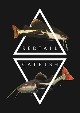 Redtail Catfish Tropical Fish Keeper Poster