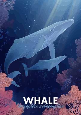 Humpback Whale Family