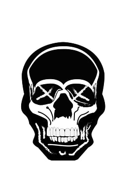 Black and White Skull Illustration