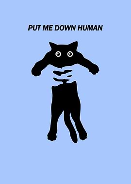 Put Me Down Human Cat