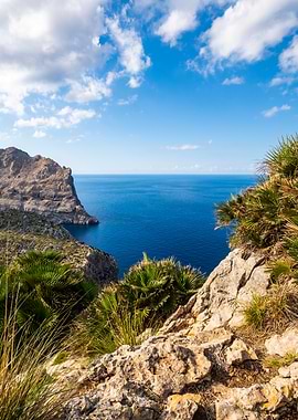 Cap Formentor Dream View: Mallorca Cliffs & Turquoise Ocean