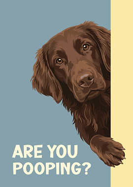 Flat-coated Retriever Are You Pooping?
