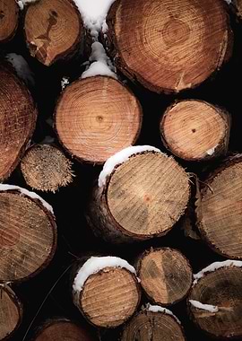 Pile of Logs with Snow