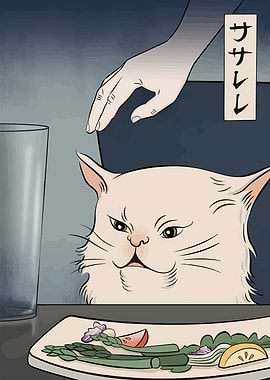 Woman Yelling at a Cat Meme