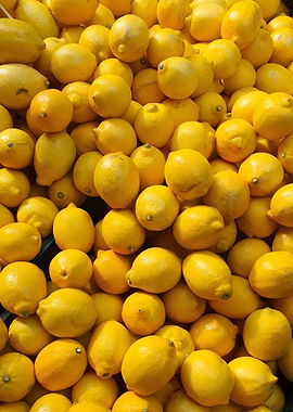Pile of Fresh Yellow Lemons