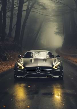 Sports car in foggy forest