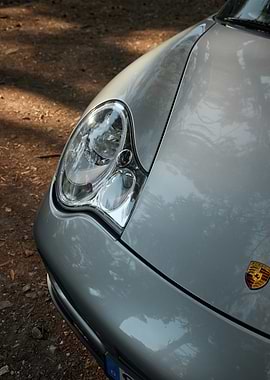 Silver Porsche, Dappled Light