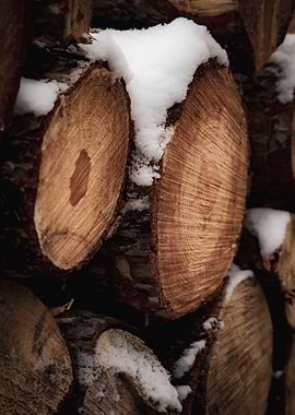 Snow-covered Stacked Logs