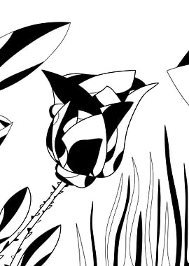 Abstract Black and White Rose