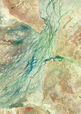 Arid Lands, Flowing Veins