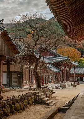 Old Tree at Hwaeomsa Temple, South Korea