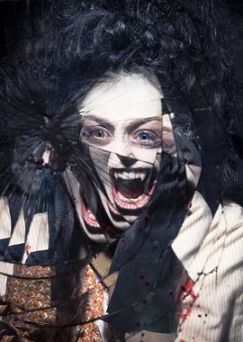 Vampire the Masquerade: Malkavian Broken Mirror