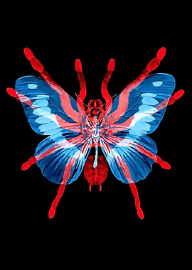 Butterfly Spider Hybrid