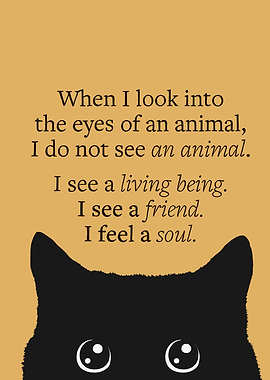 Cat Soul Quote