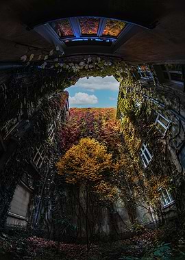 Overgrown Courtyard with Autumn Colors