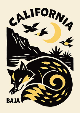 California Baja Fox Poster