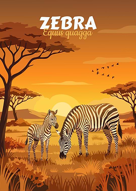 Zebra Family at Sunset