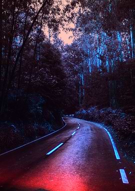 Winding Road Through Dark Forest