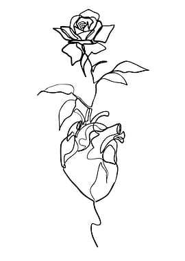 Heart and Rose Line Art