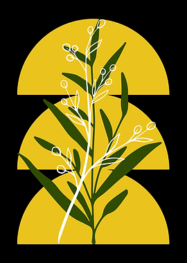 Botanical Illustration with Geometric Shapes