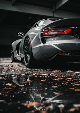 Sport Car Indoor Showcase - Artificial Series 27